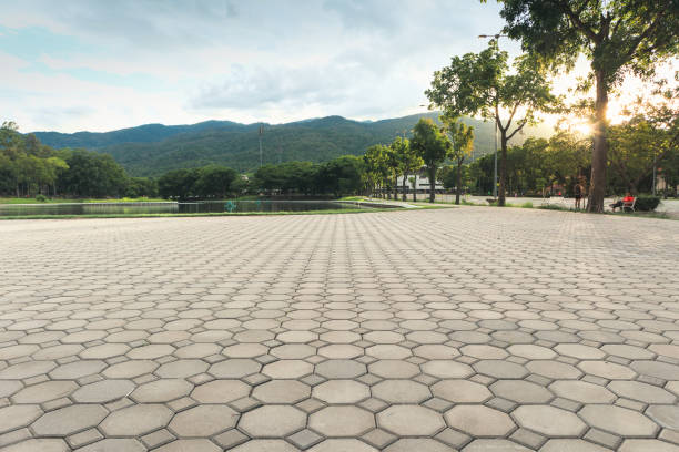 Best Driveway Paver Sealing  in Lame Deer, MT